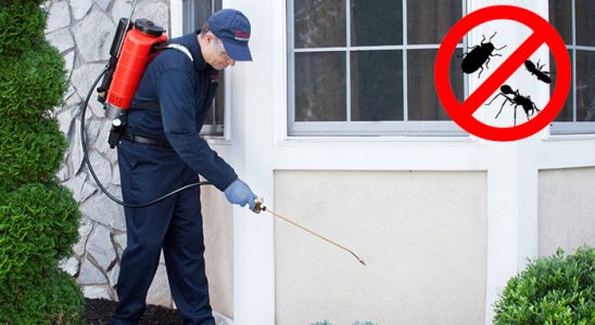 Küçükçekmece Karınca İlaçlama böcek ilaçlama ve haşere kontrolü — ilaclama-tr.com